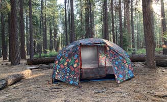 Meesh C.'s photo at Mono Creek near Mono Hot Springs, CA