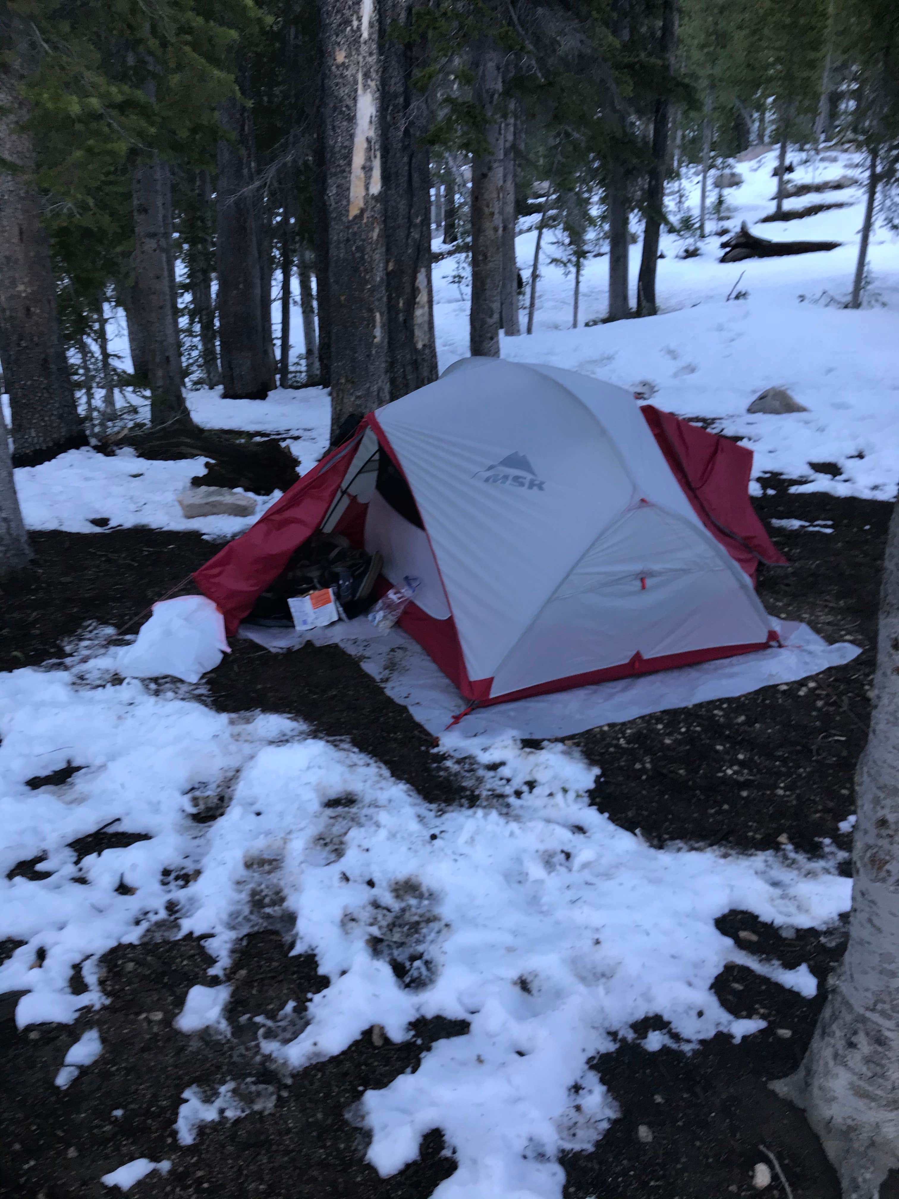 Camper submitted image from Alpine Lake - 4