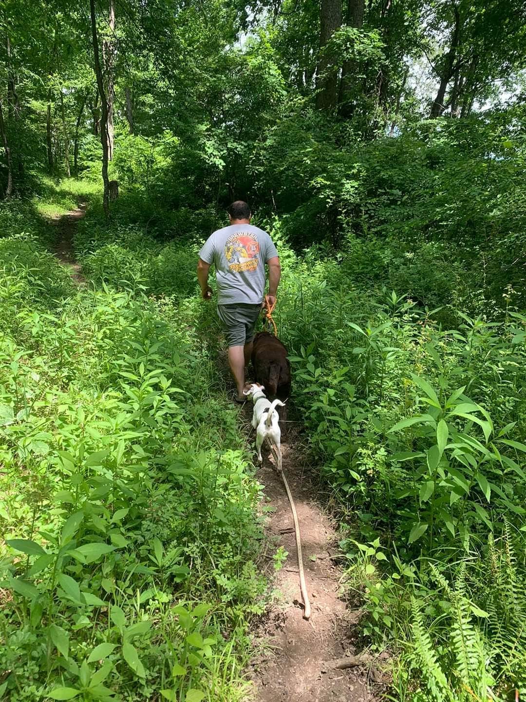 Jay B.'s photo of camping with pets at Salt Fork State Park Campground near Caldwell, OH