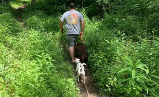 Jay B.'s photo of camping with pets at Salt Fork State Park Campground near Caldwell, OH