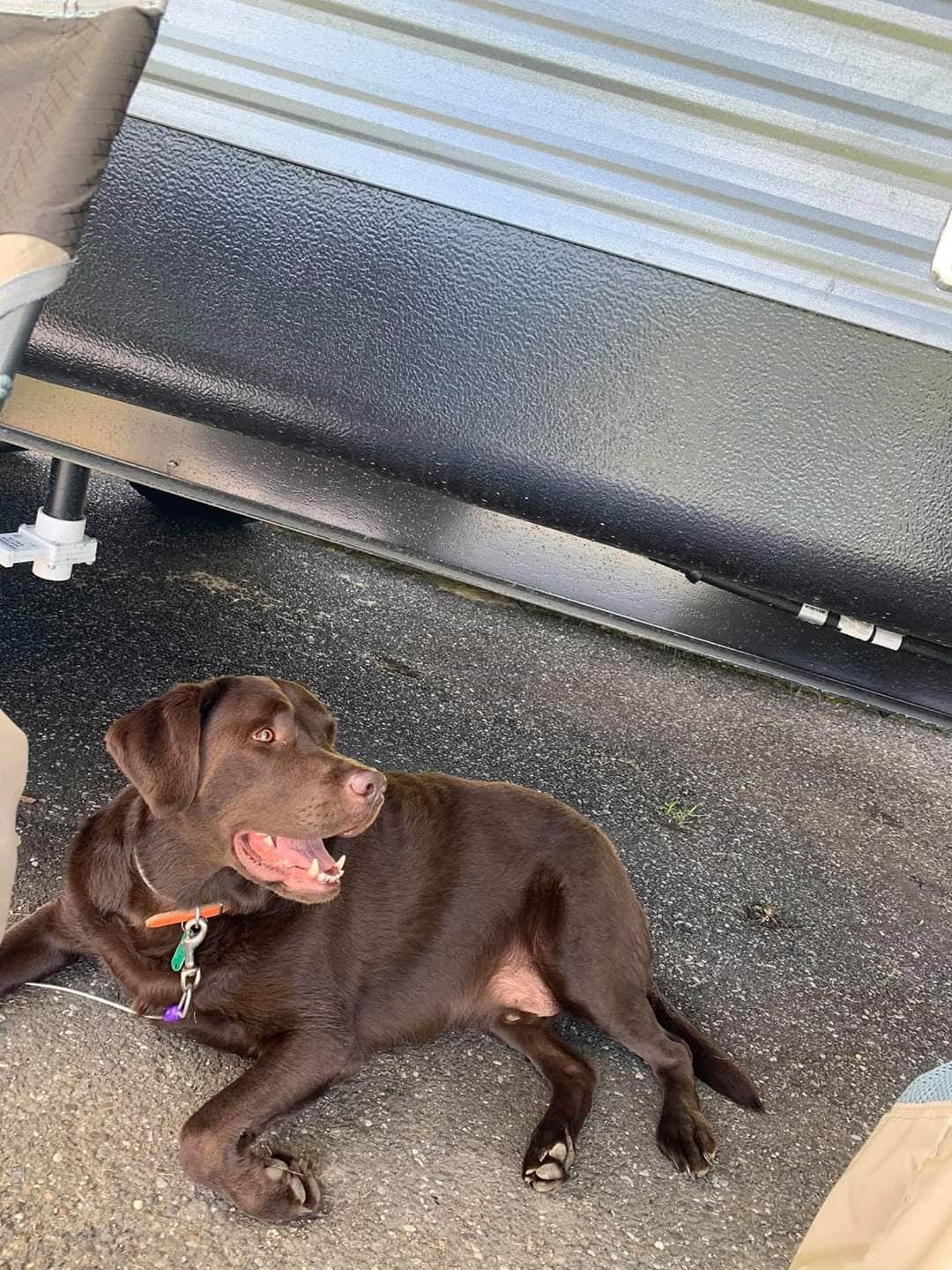 Camper-submitted photo at Salt Fork State Park Campground near Dillon Lake