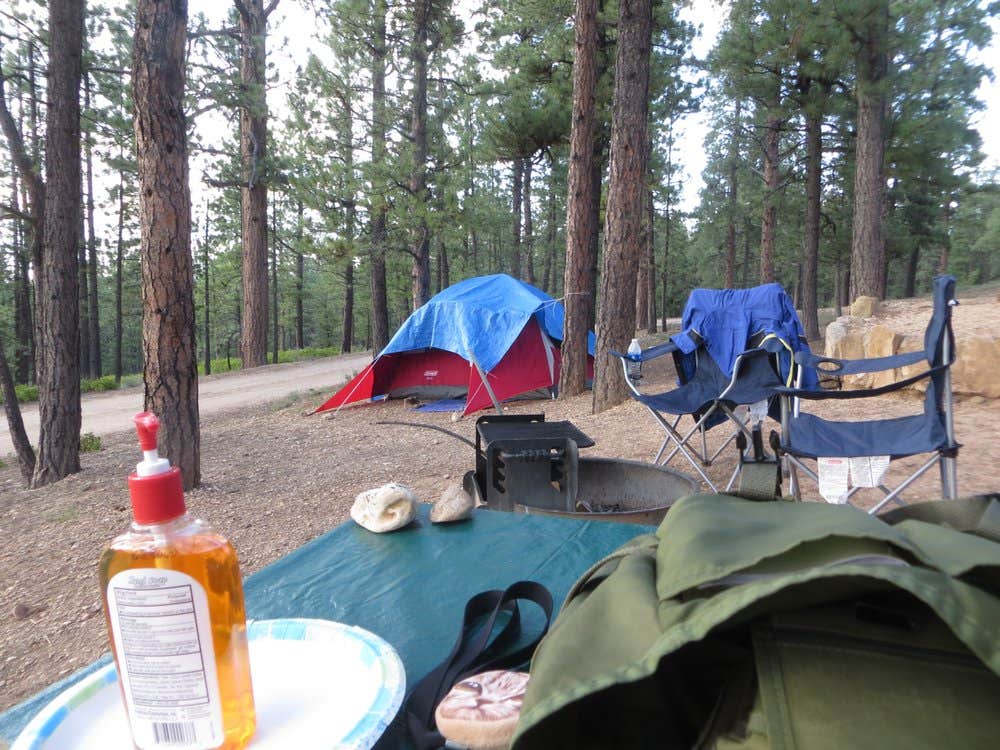 jasmine L.'s photo at North Campground — Bryce Canyon National Park near Cannonville, UT