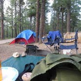Review photo of North Campground — Bryce Canyon National Park by jasmine L., October 31, 2017