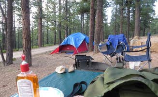 jasmine L.'s photo at North Campground — Bryce Canyon National Park near Tropic, UT