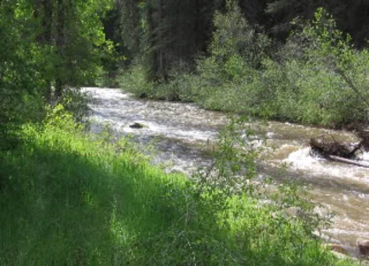 Camper submitted image from West Dolores Campground - 3