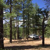 Review photo of North Campground — Bryce Canyon National Park by jasmine L., October 31, 2017