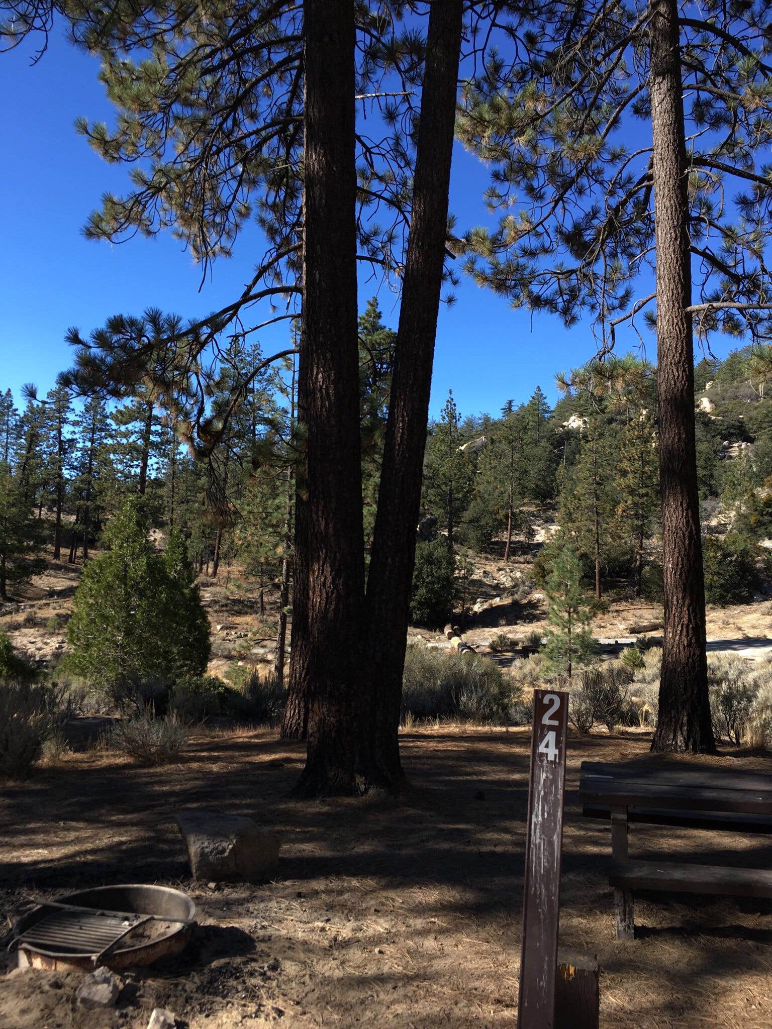 Horse Flats Campground The Dyrt