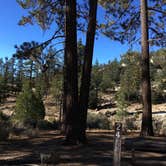 Review photo of Horse Flats Campground by Leslie R., October 31, 2017
