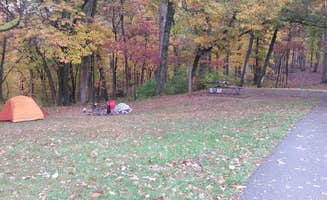 Nancy W.'s photo at Dr. Edmund A. Babler Memorial State Park Campground near Troy, MO