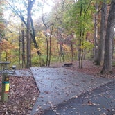 Review photo of Dr. Edmund A. Babler Memorial State Park Campground by Nancy W., October 31, 2017