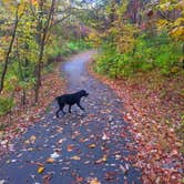 Review photo of Dr. Edmund A. Babler Memorial State Park Campground by Nancy W., October 31, 2017