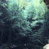 Review photo of Hocking Hills State Park Campground by Brannon M., June 24, 2020