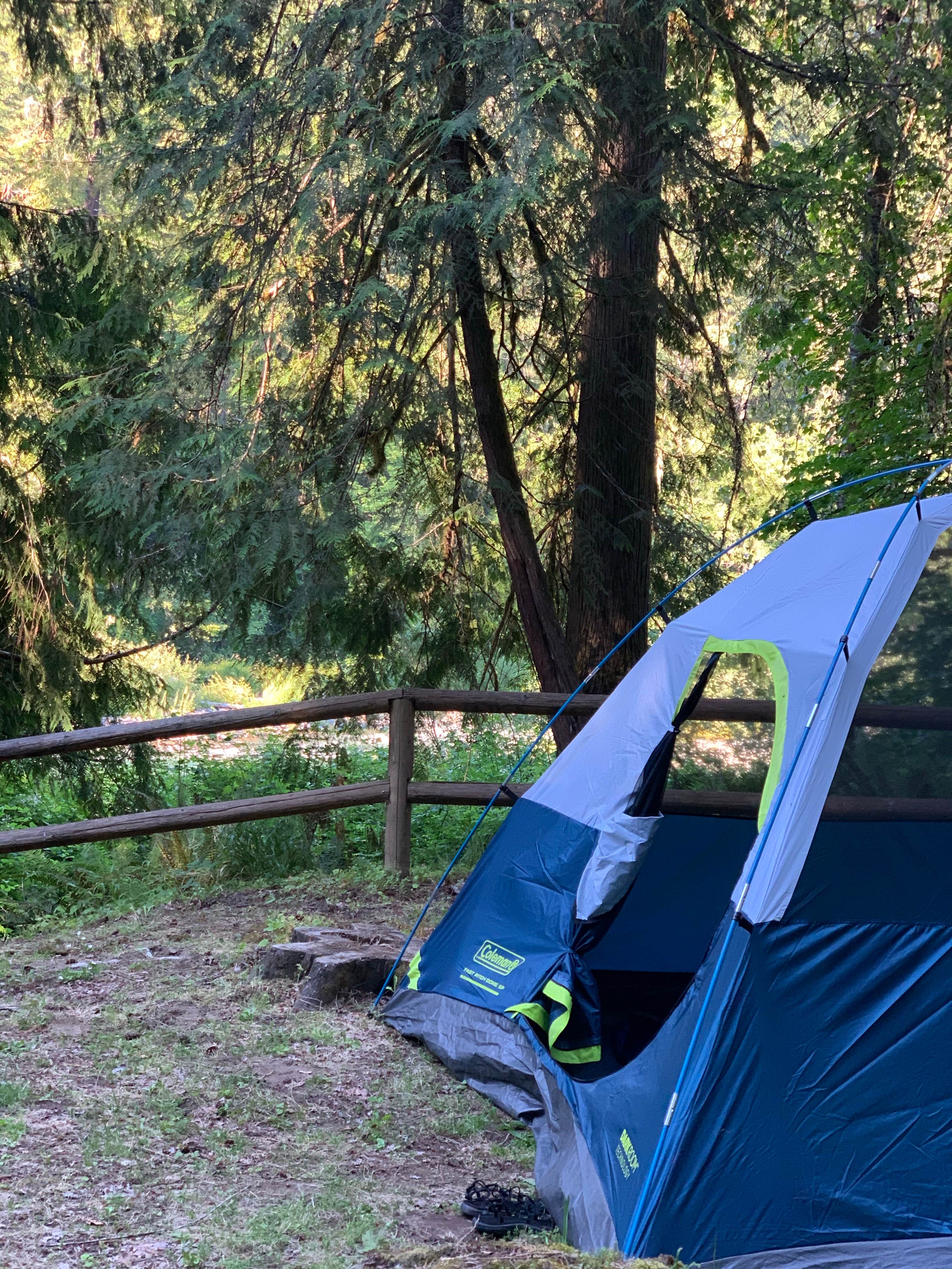 Ryan C.'s photo at Black Canyon Campground - Willamette NF near Cottage Grove, OR