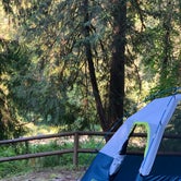 Review photo of Black Canyon Campground - Willamette NF by Ryan C., June 24, 2020