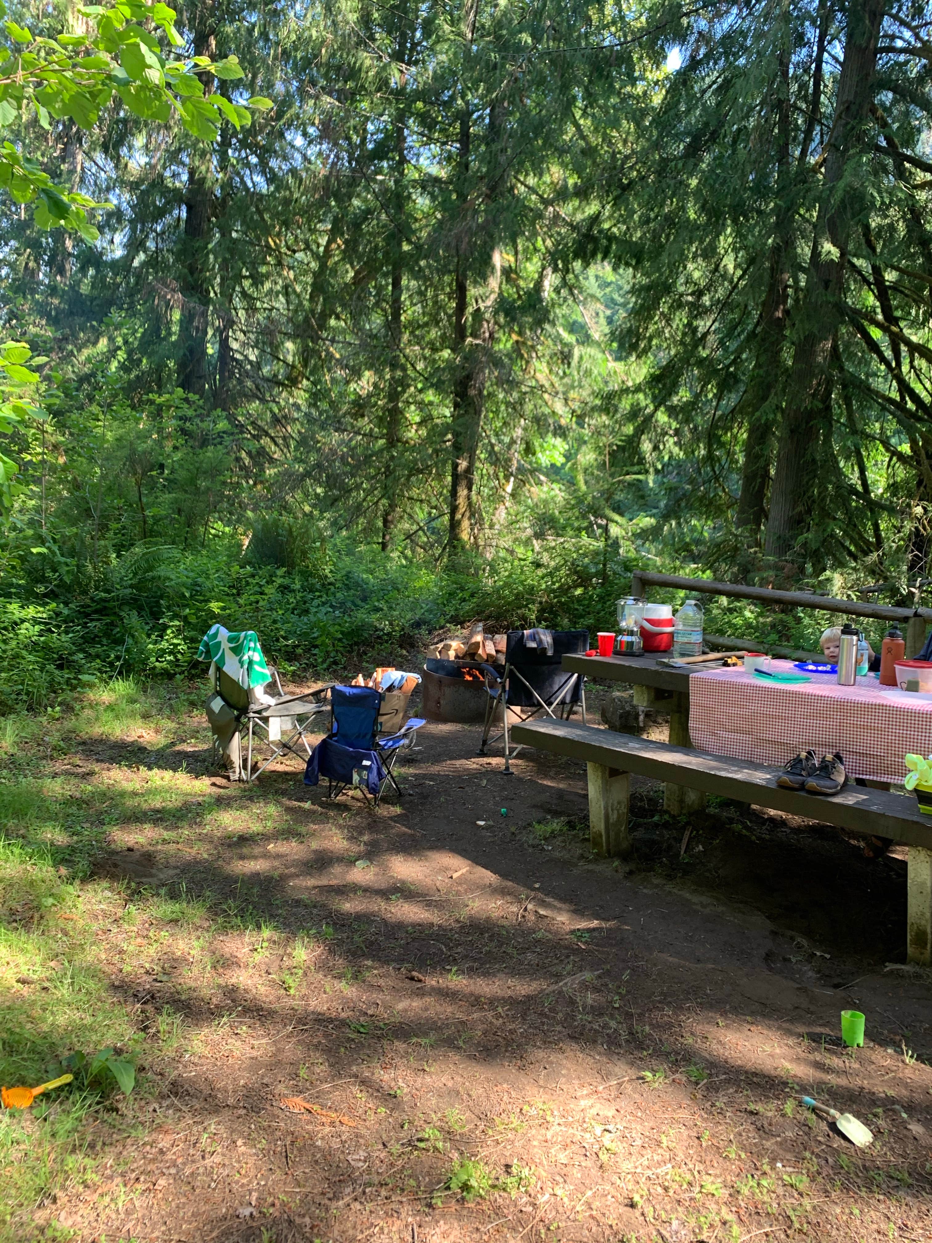 Camper-submitted photo at Black Canyon Campground - Willamette NF near Cottage Grove, OR