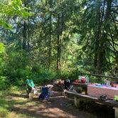 Review photo of Black Canyon Campground - Willamette NF by Ryan C., June 24, 2020