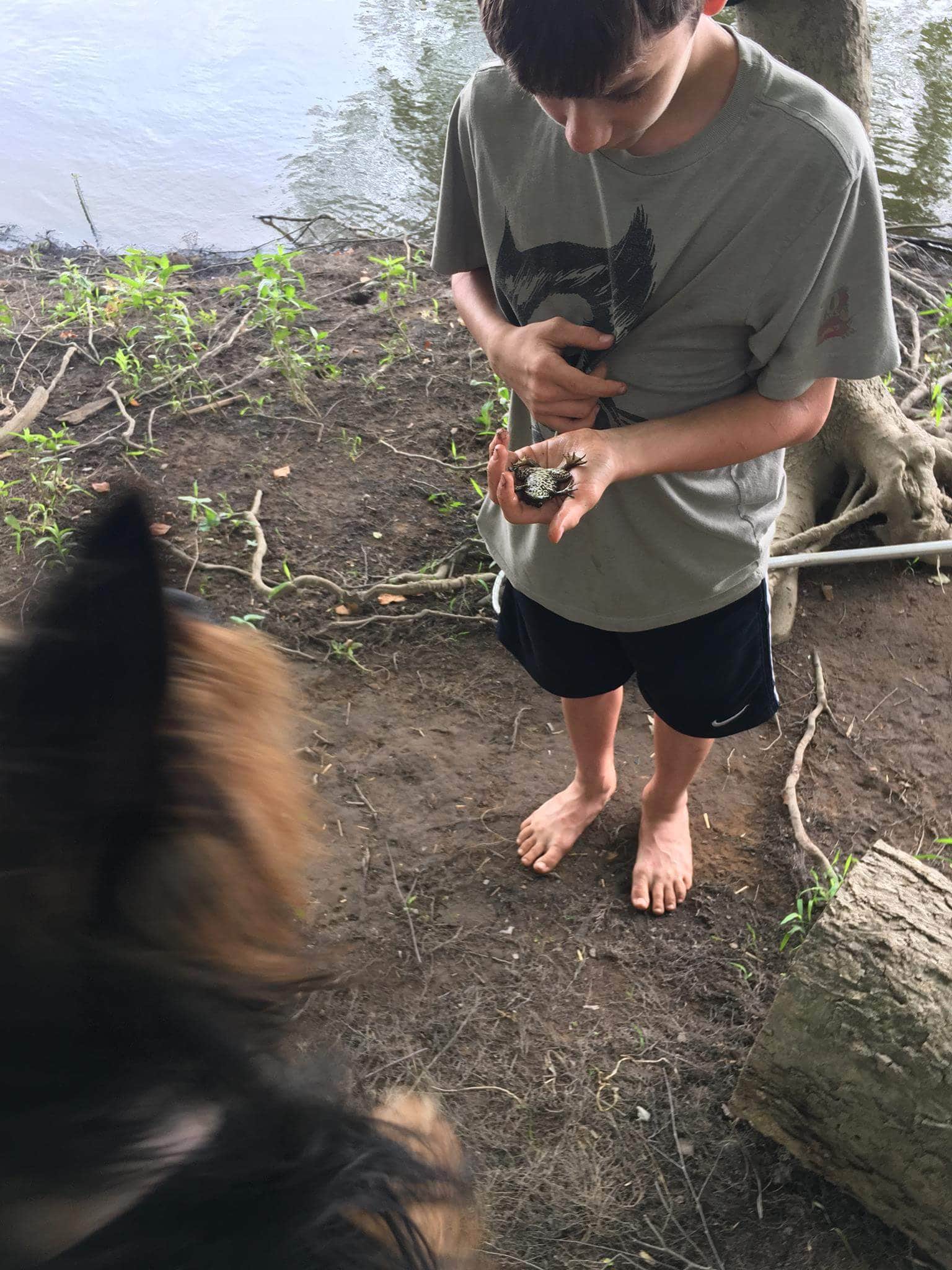 Megan S.'s photo of camping with pets at River Rock Recreation near Harrisburg, PA