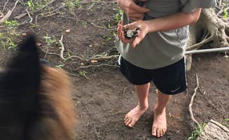 Megan S.'s photo of camping with pets at River Rock Recreation near Harrisburg, PA