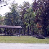Review photo of Coon Creek (IL) by Michael M., October 20, 2017