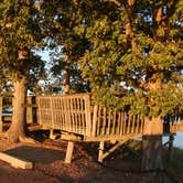 Review photo of Coon Creek (IL) by Michael M., October 20, 2017
