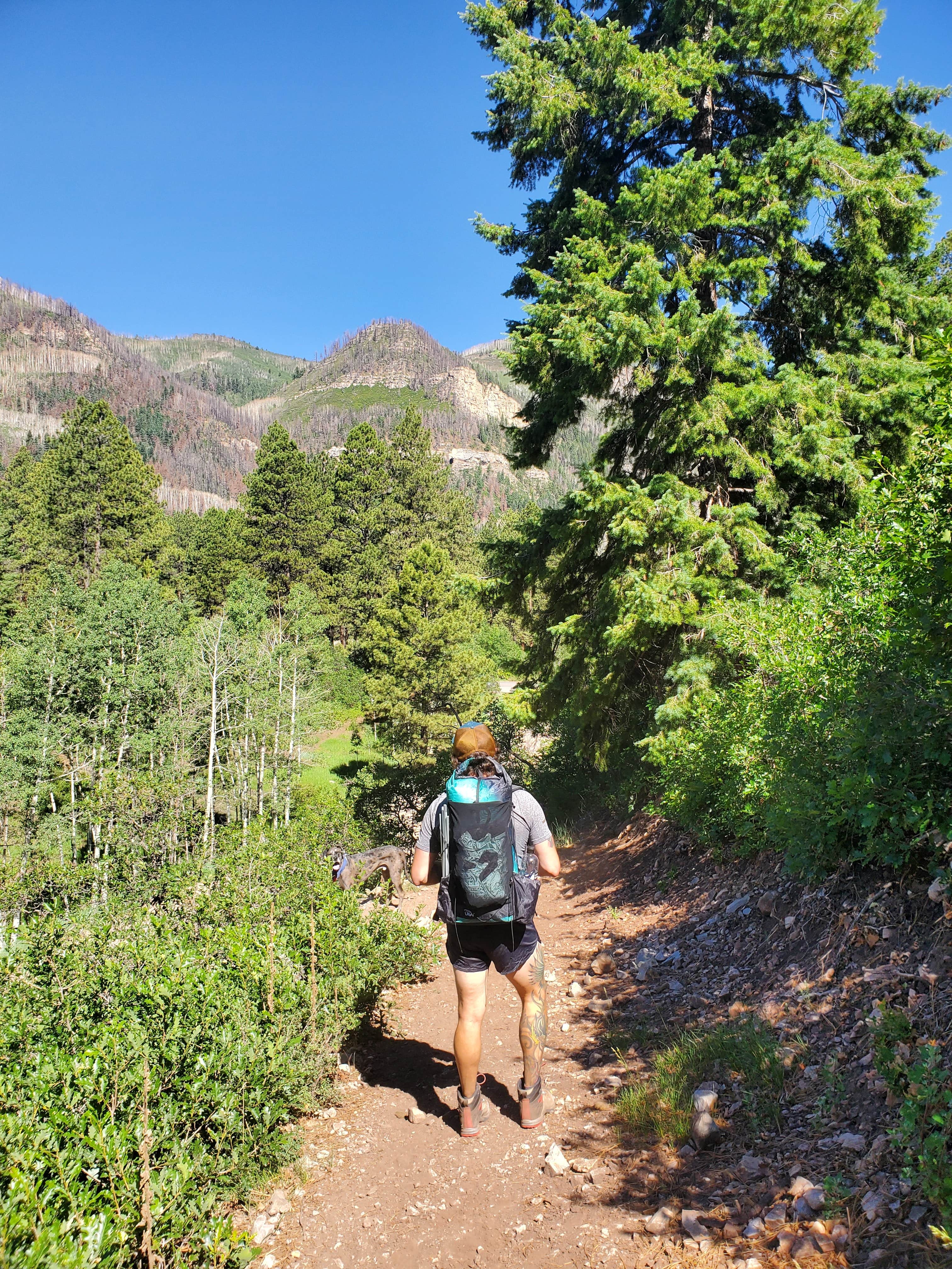 Camper submitted image from Haviland Lake Campground - 4