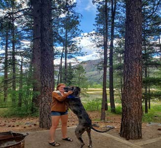 Camper-submitted photo from Durango North-Riverside KOA