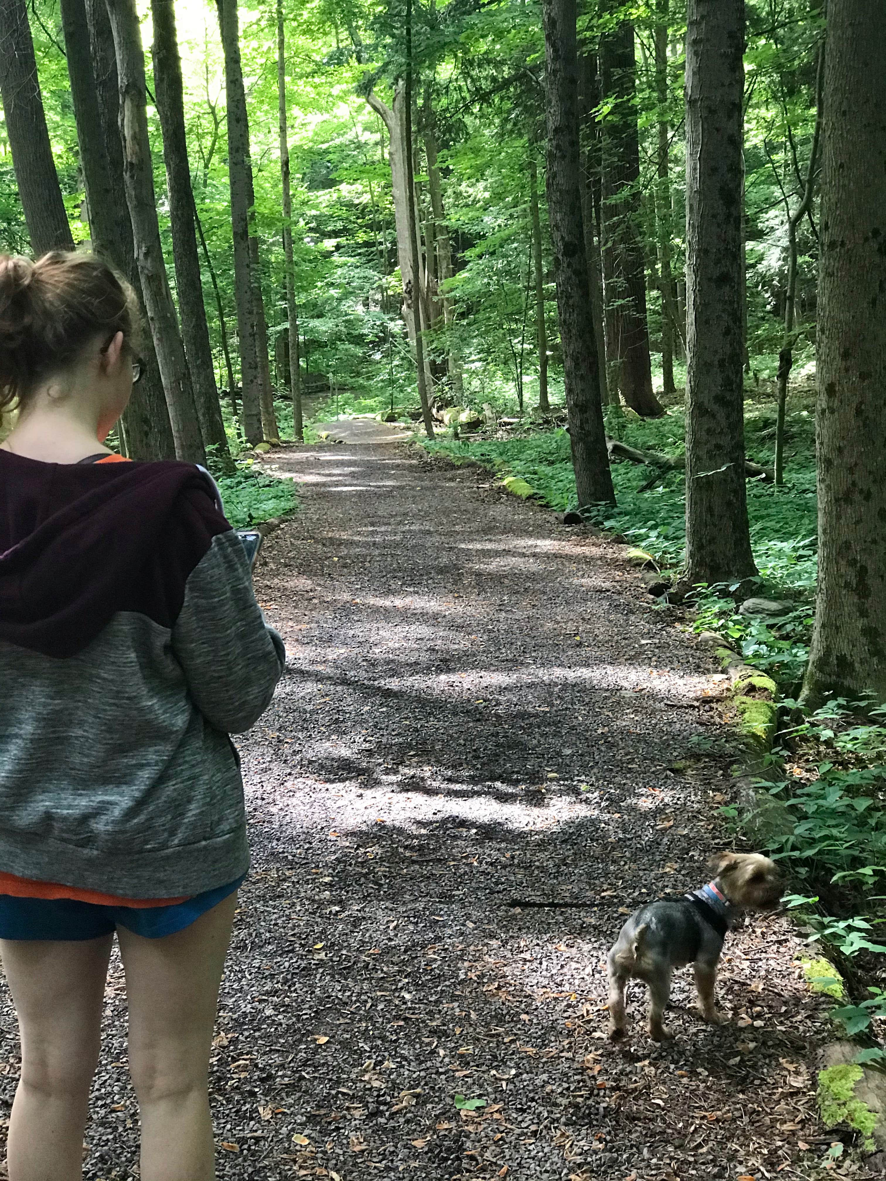 Kelly J.'s photo of camping with pets at Green Lakes State Park Campground near Fabius, NY