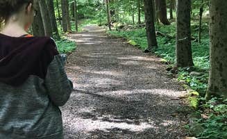 Kelly J.'s photo of camping with pets at Green Lakes State Park Campground near Canastota, NY