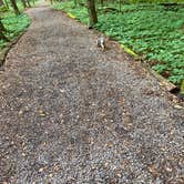 Review photo of Green Lakes State Park Campground by Kelly J., June 24, 2020