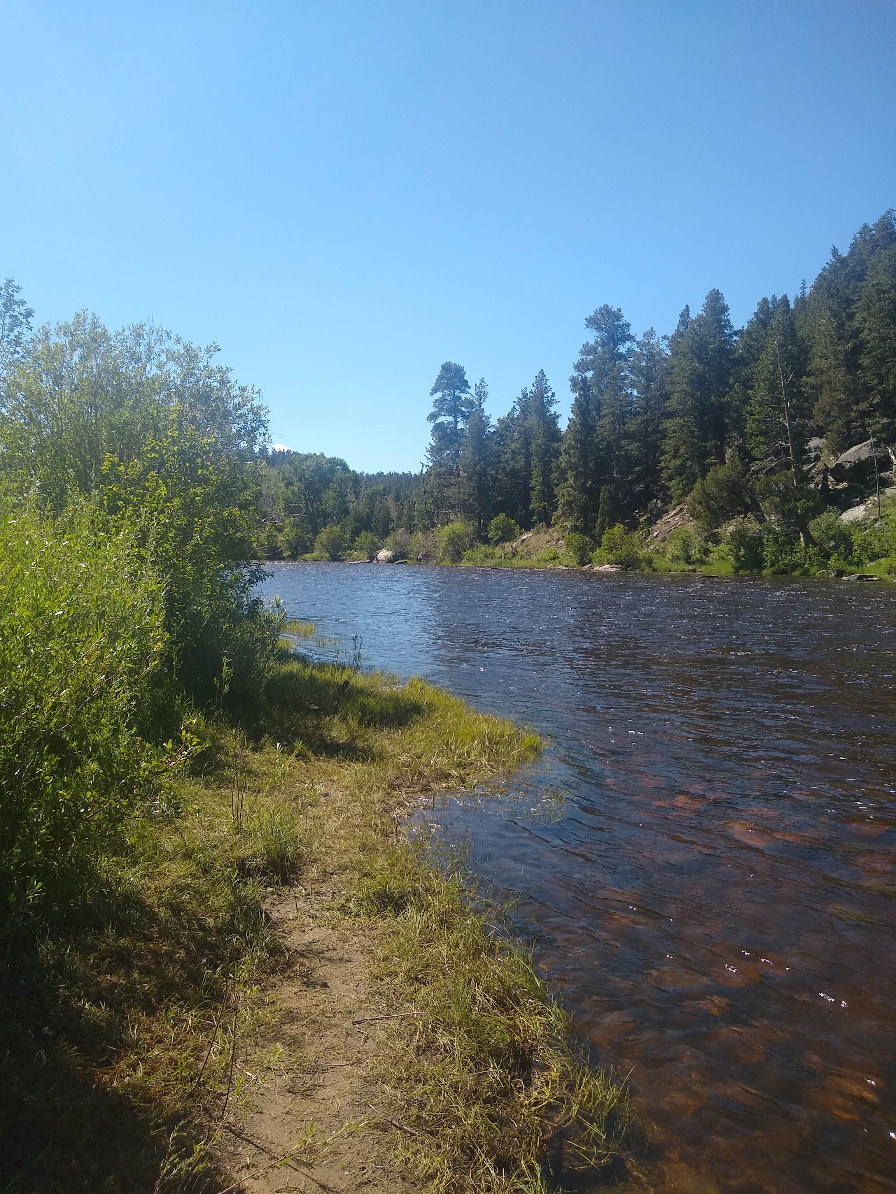 Camping near French Creek Campground (Wy) — Medicine Bow Routt N Fs & Thunder Basin Ng: Bennett Creek Campground — Bureau Of Land Management, Encampment, Wyoming