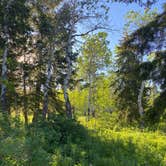 Review photo of Shadow Mountain Dispersed Camping by marycatmathis  .., June 24, 2020