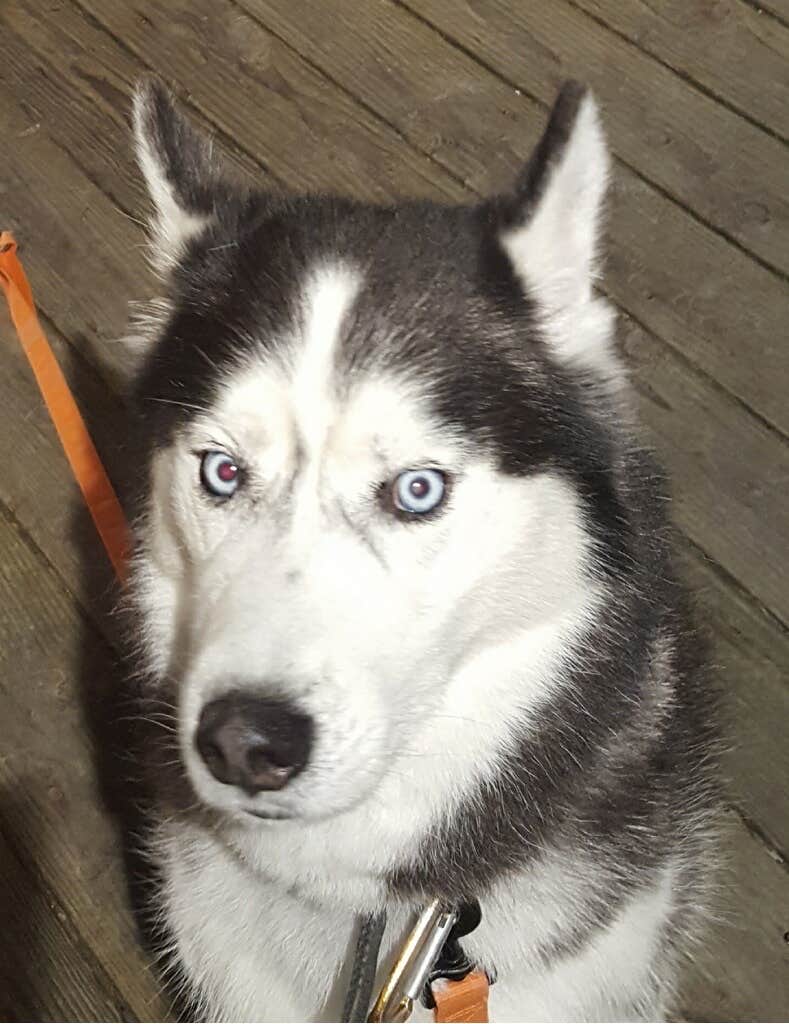 Camper-submitted photo at Stoney Creek RV Park near Seward, AK