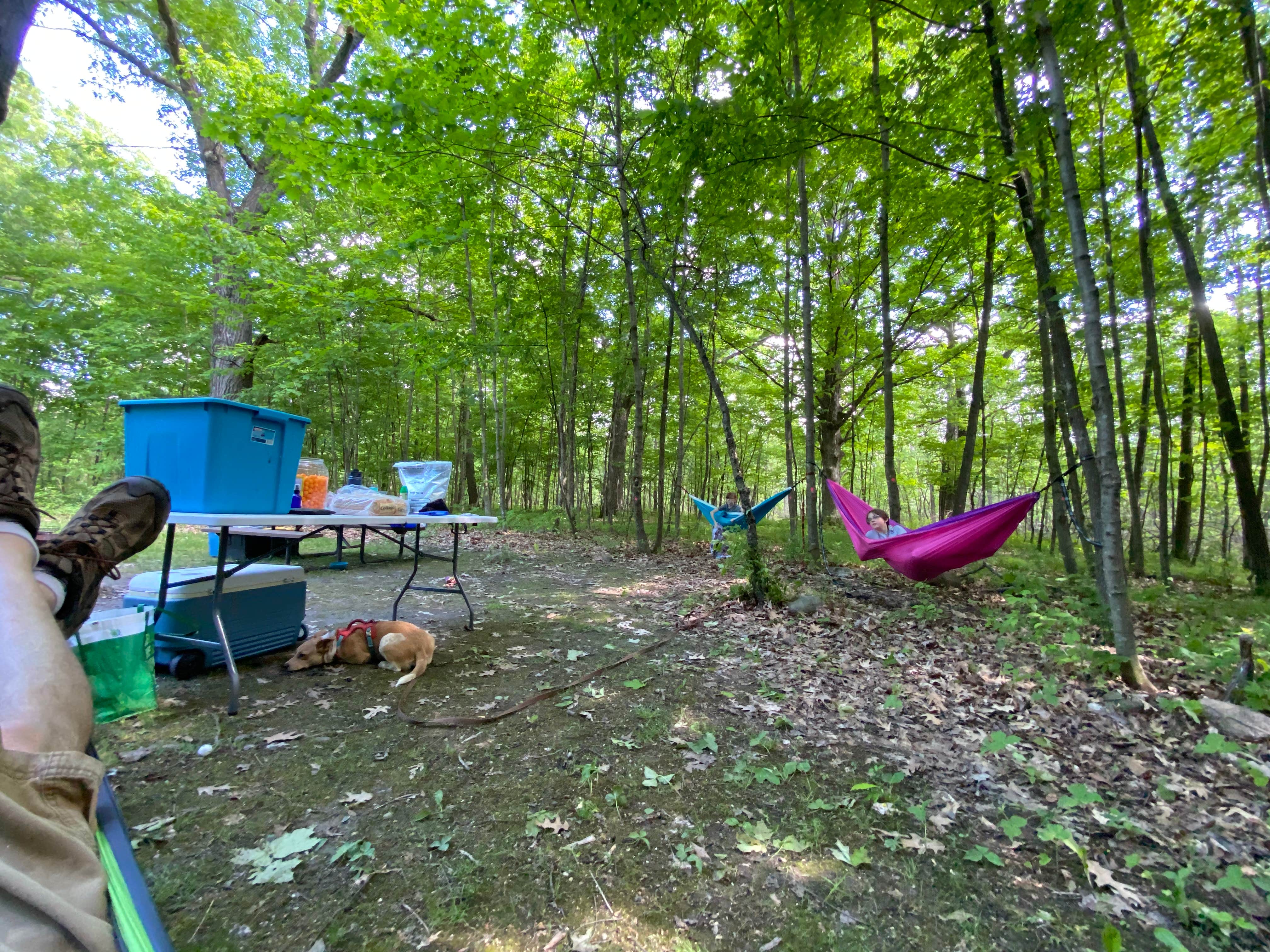 Camper submitted image from Menomonee Park by Waukesha County Parks - 3