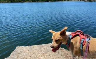 Matt N.'s photo of camping with pets at Menomonee Park by Waukesha County Parks near Waukesha, WI