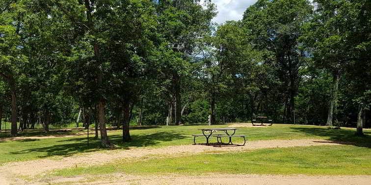 Camper submitted image from Wild West Campground & Corral