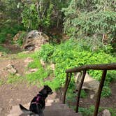 Review photo of Eagle River Nature Center (public use cabins/yurts) by Tanya B., June 21, 2020