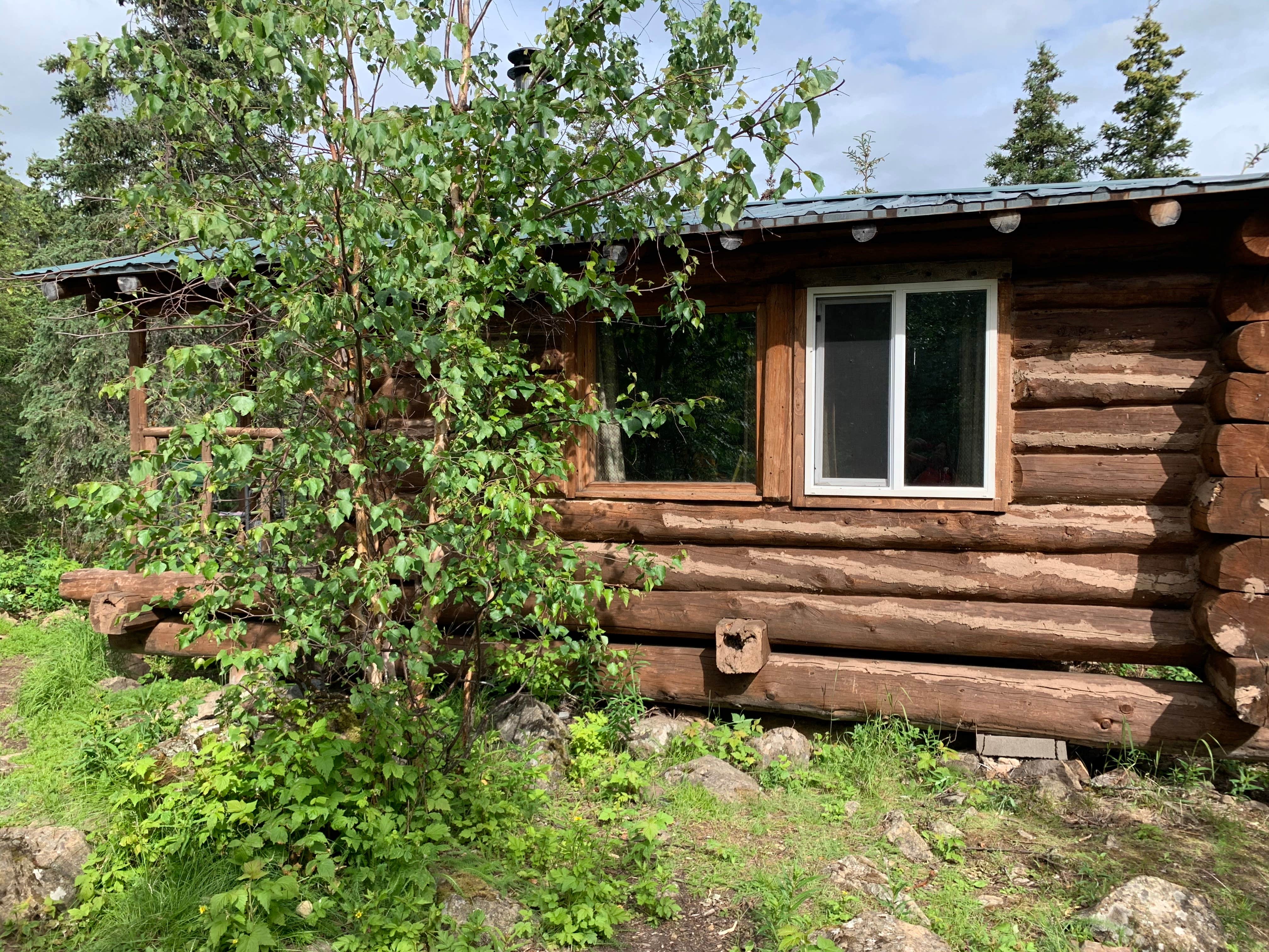 Tanya B.'s photo of a cabin at Eagle River Nature Center (public use cabins/yurts) near Girdwood, AK