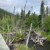 Review photo of Eagle River Nature Center (public use cabins/yurts) by Tanya B., June 21, 2020