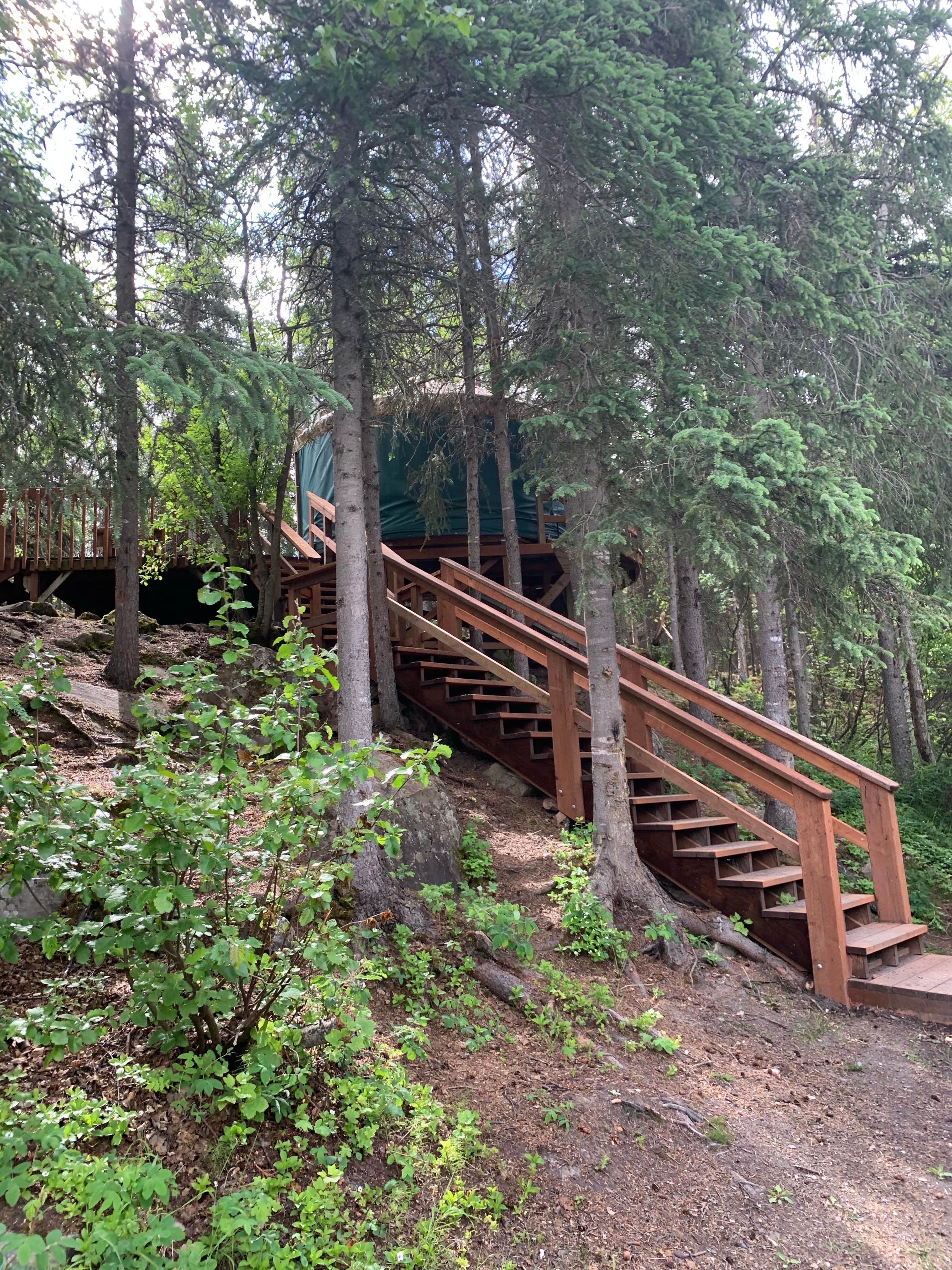 Tanya B.'s photo of glamping accommodations at Eagle River Nature Center (public use cabins/yurts) near Wasilla, AK