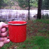 Review photo of Upper and Lower Ansel Watrous Campgrounds by Carter W., July 2, 2016