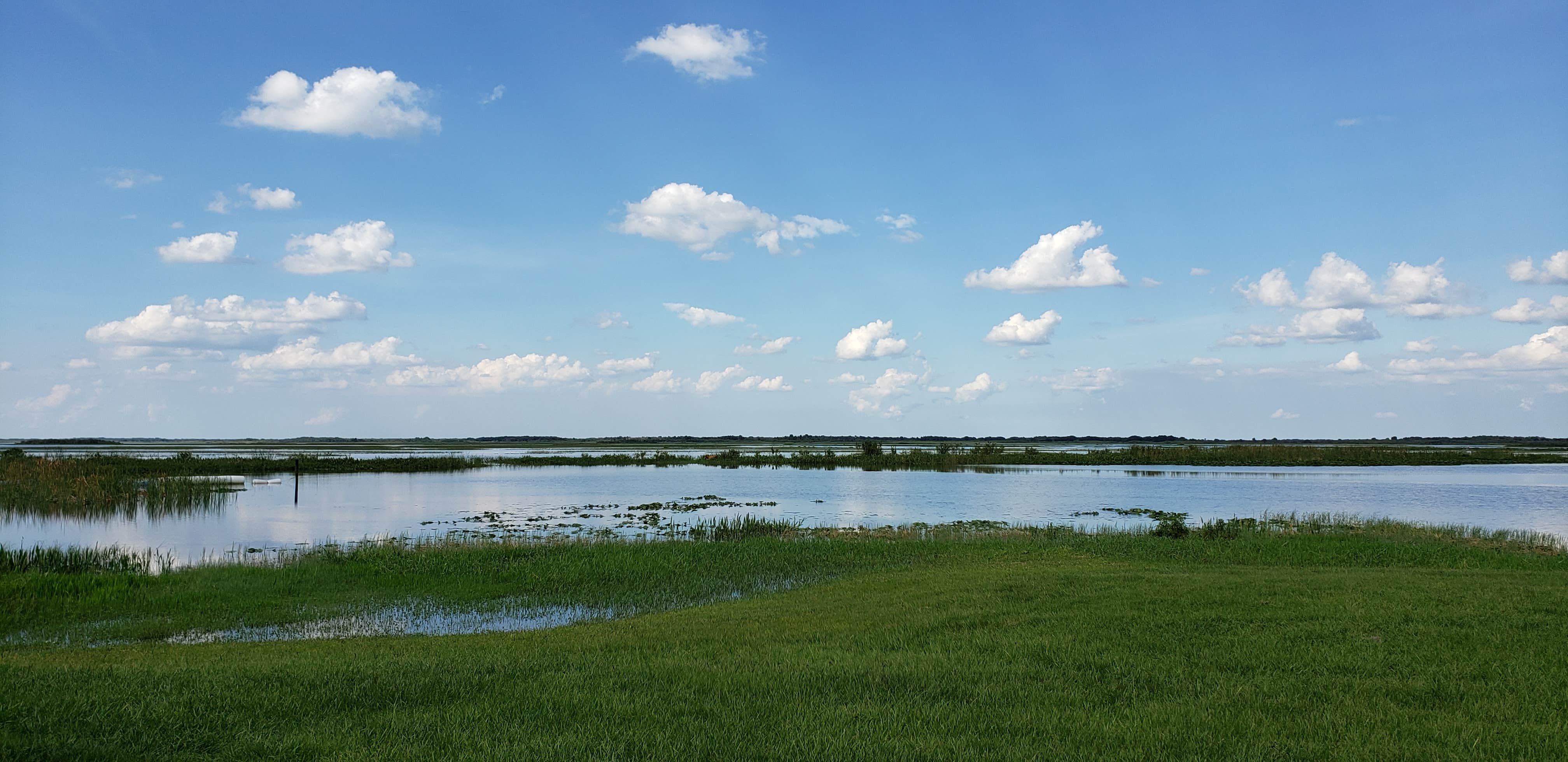 Camper submitted image from Coleman Landing at Shady Oaks - 5