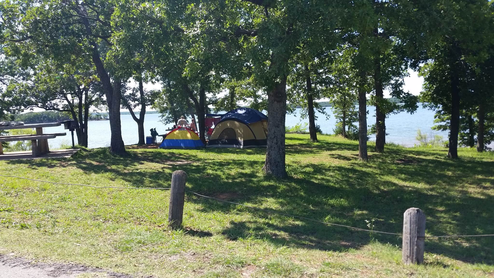 Camper submitted image from Critter Alley — Lake Thunderbird State Park - 2