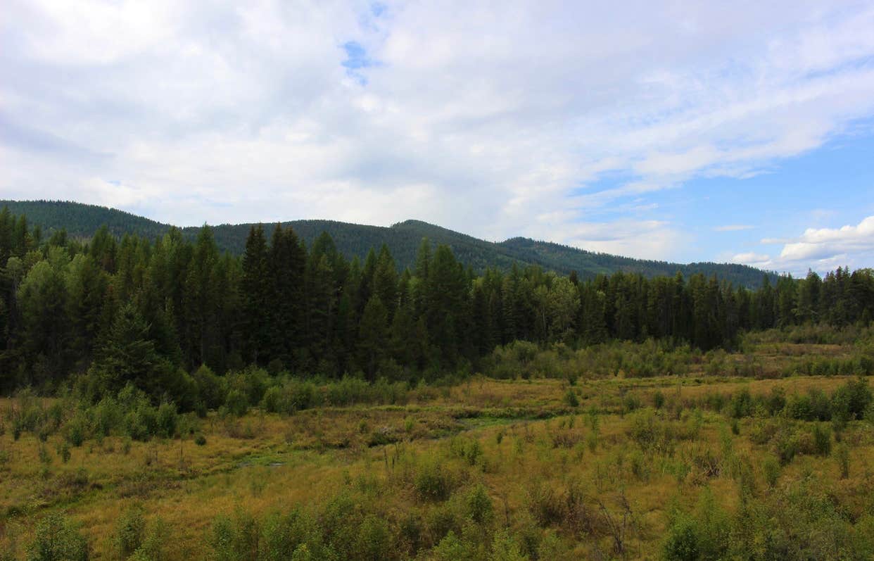 View All