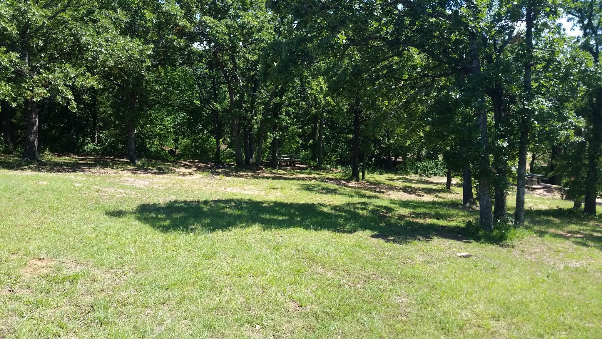 Camper submitted image from Critter Alley — Lake Thunderbird State Park - 2