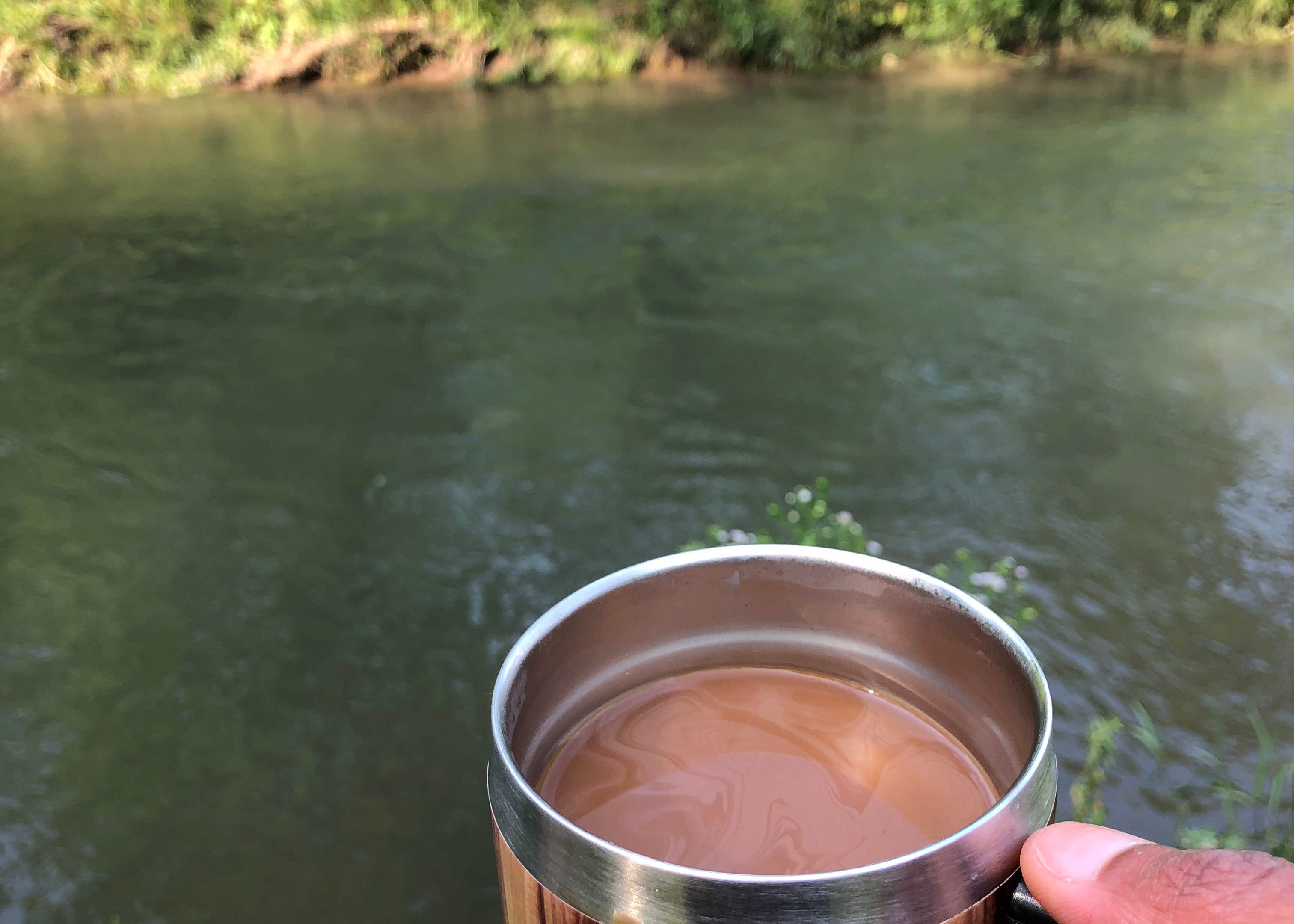 View All