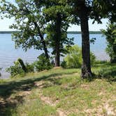 Review photo of Critter Alley — Lake Thunderbird State Park by Mike B., October 31, 2017