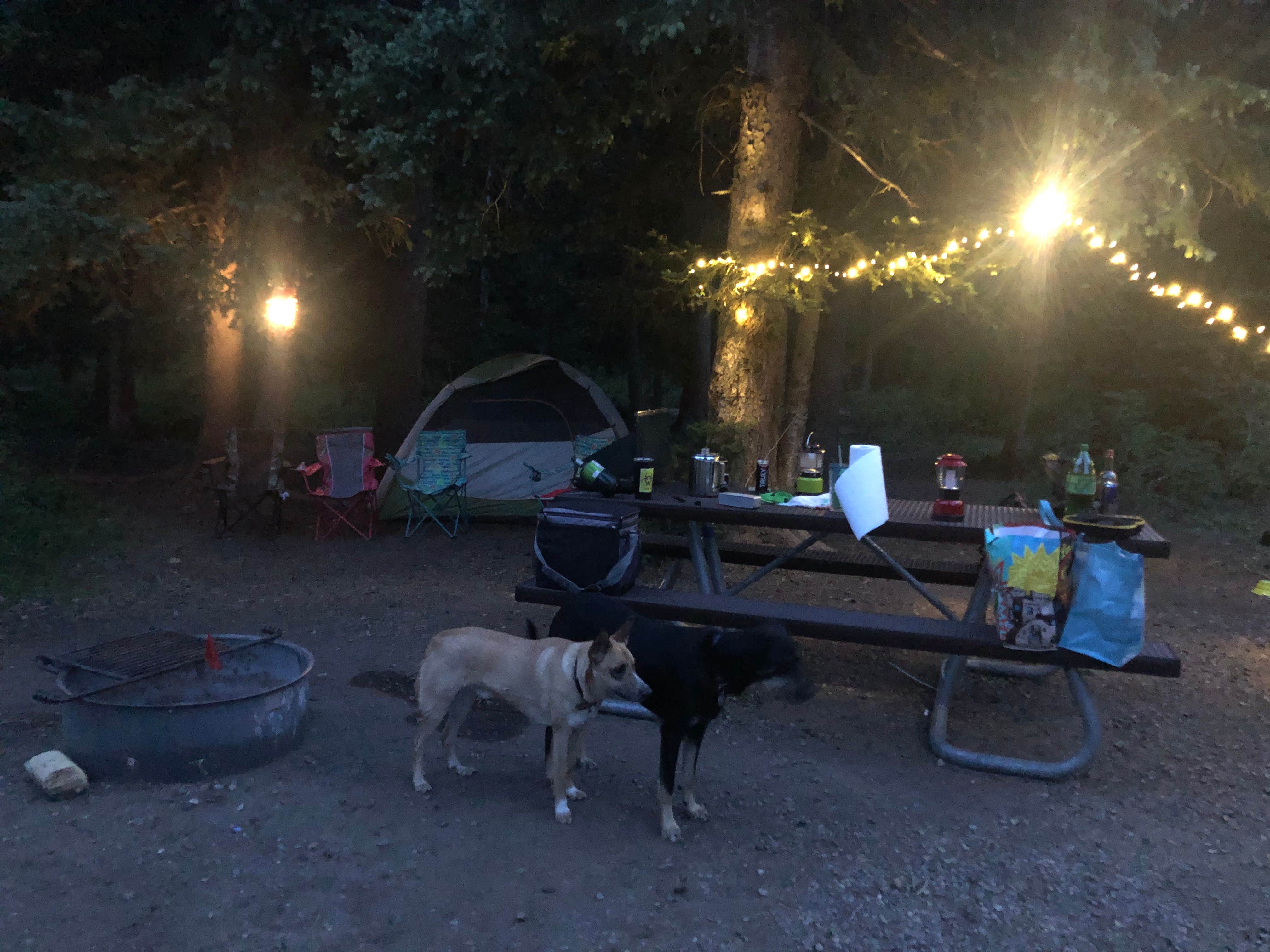 Jennifer M.'s photo at Snowslide Campground near San Juan National Forest