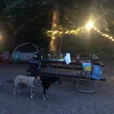 Review photo of Snowslide Campground by Jennifer M., June 25, 2020