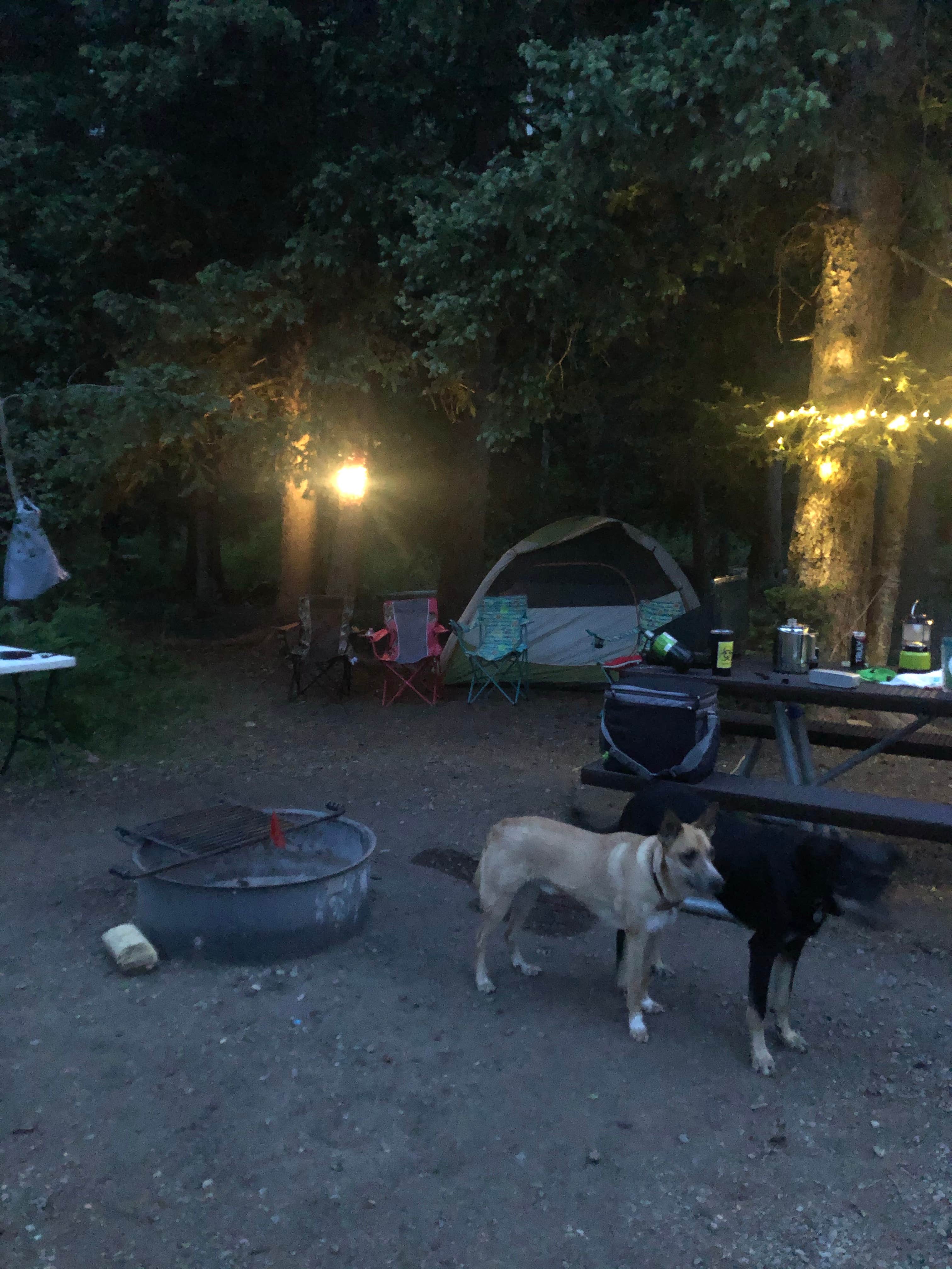 Camper-submitted photo at Snowslide Campground near Hesperus, CO