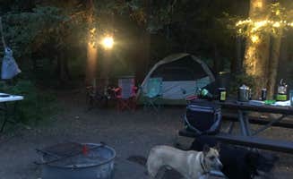 Jennifer M.'s photo at Snowslide Campground near San Juan National Forest